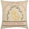 Sawyer Mill Easter On The Farm Chick Pillow - 18x18